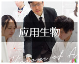 这是一张图片